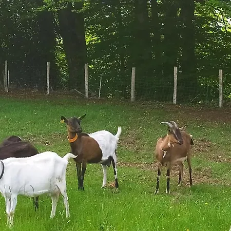 Farm stay La Fermanerie