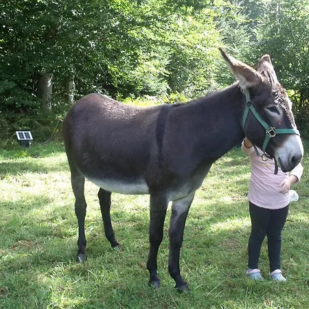 Farm stay La Fermanerie Giat